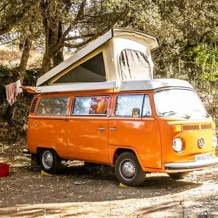 Campingplads Mobil 3 Avec Terrasse - Pour 6 Personnes - Api-1-52-1659 Sartène